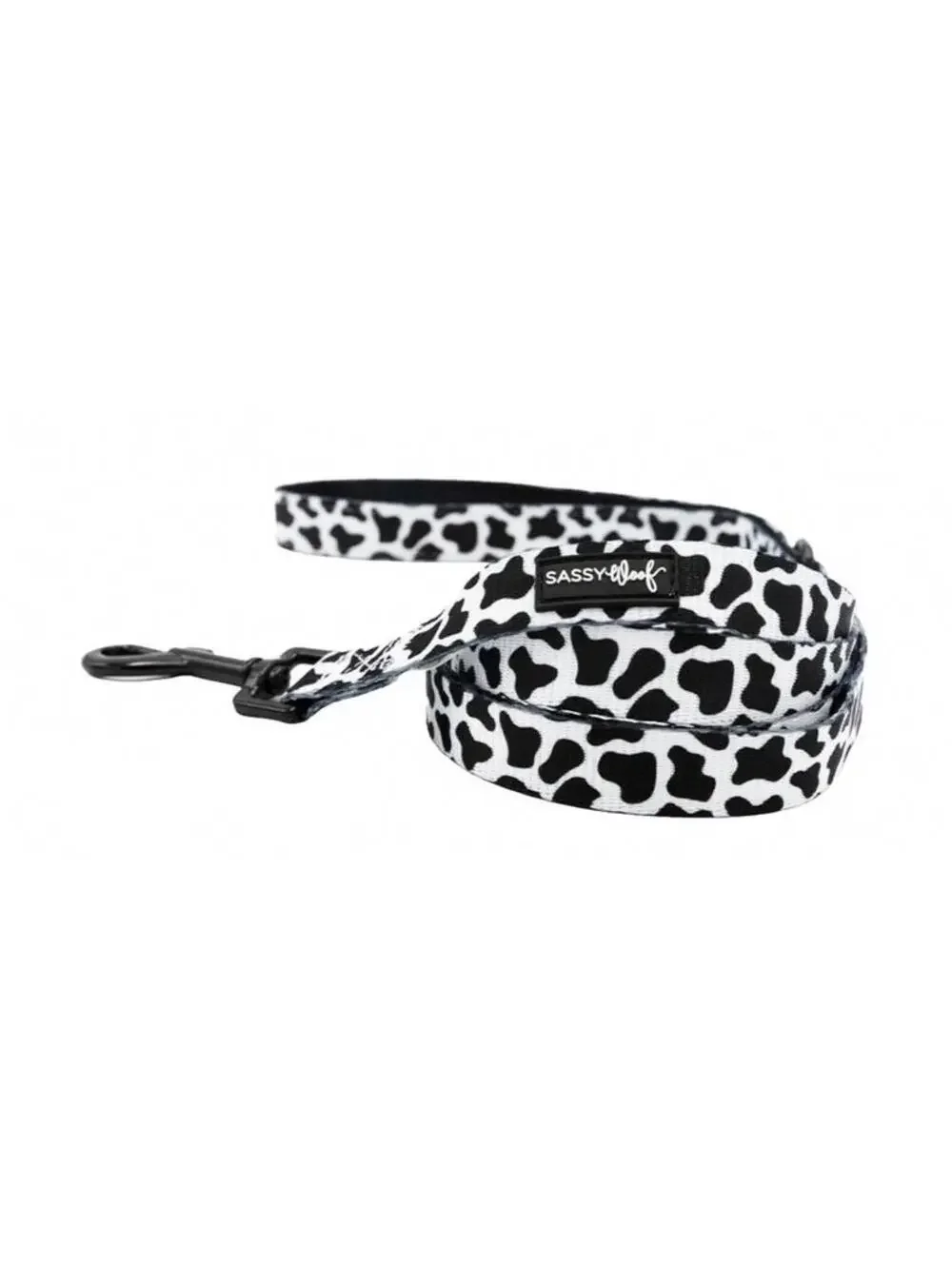 (RGB1) Sassy Woof Whole Milk Dog Leash 6ft x 3/4in Cotton Webbing Walking NWT